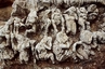 Sluntah (Salonta) - vorchristliche Höhlenskulpturen